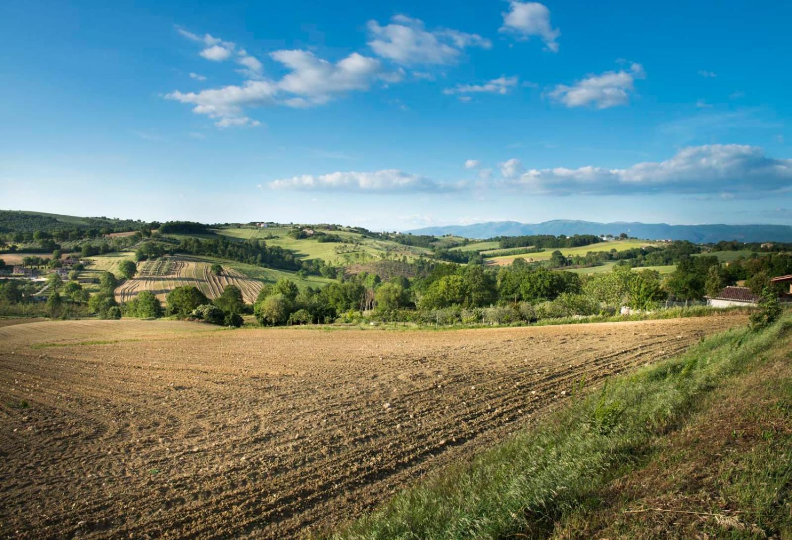 Agriturismo Piano Grande 아빌리아노움브로 외부 사진