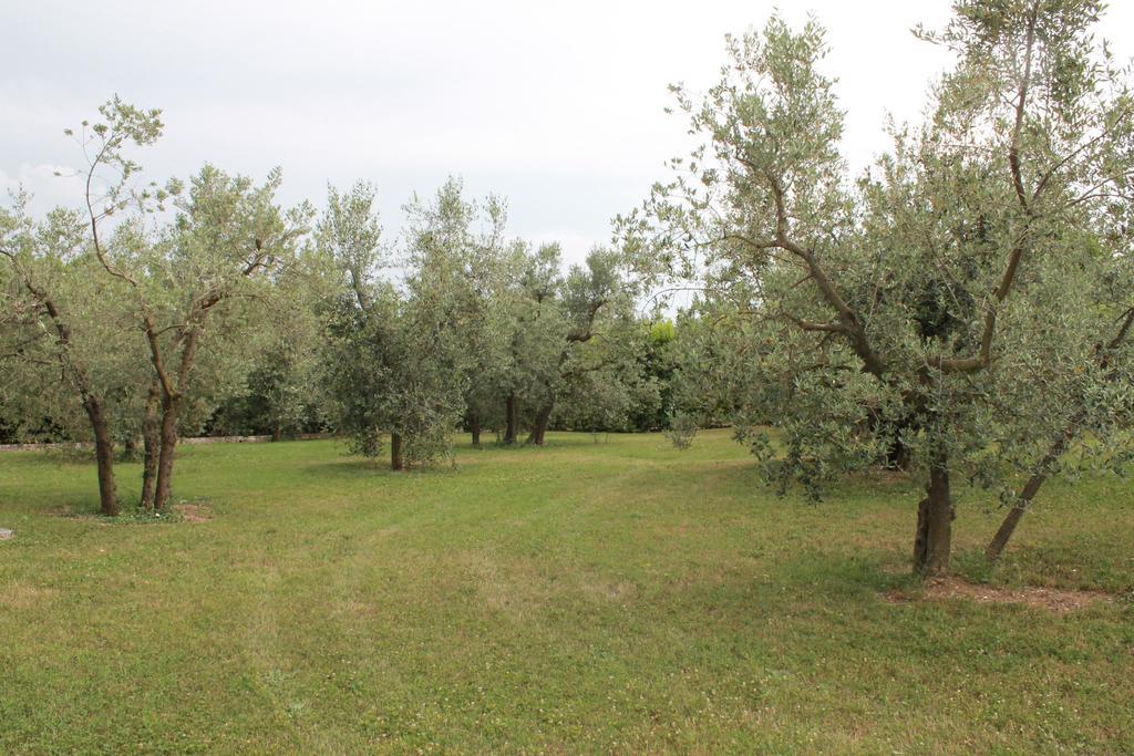 Agriturismo Piano Grande 아빌리아노움브로 객실 사진